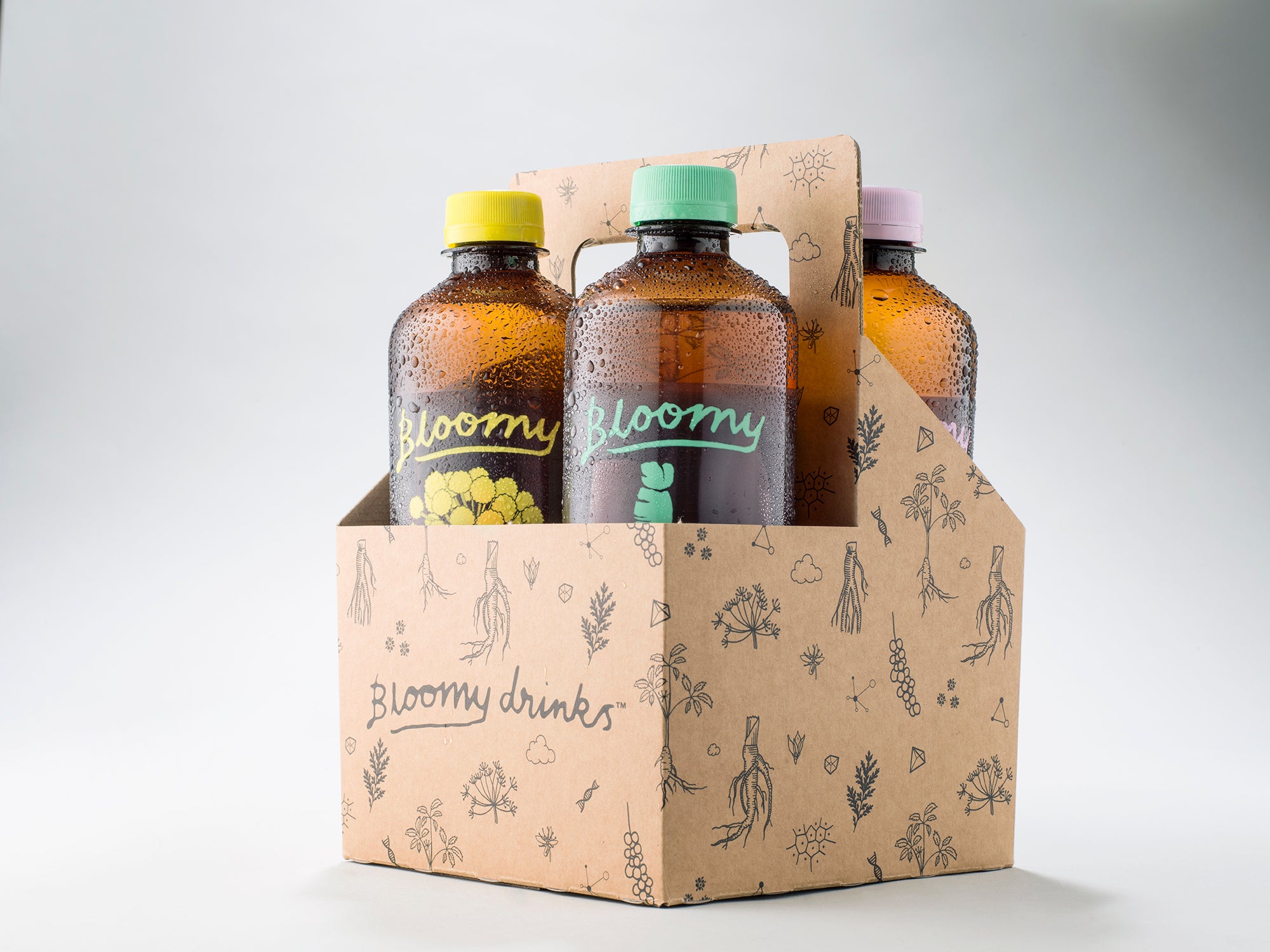Sample Pack - Bloomy Drinks