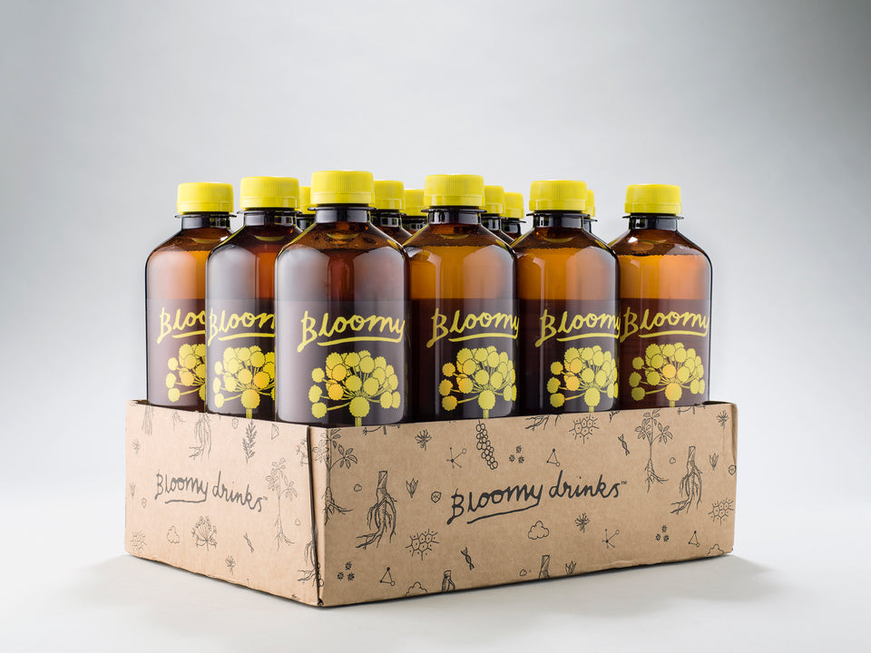 Elderflower + Ginger - Bloomy Drinks