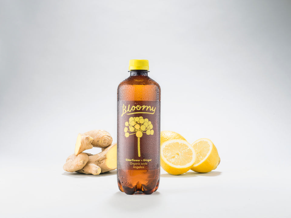 Elderflower + Ginger - Bloomy Drinks
